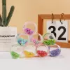 Macaron fruit series box