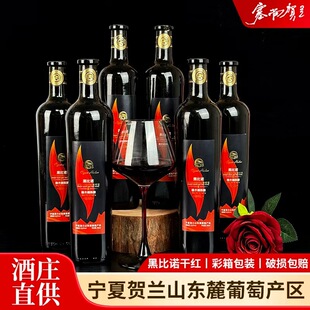���ļt����ľͰ���b�ڱ��Z�ɼt���Ѿ�13.6��һ�����l���Ѿ����l