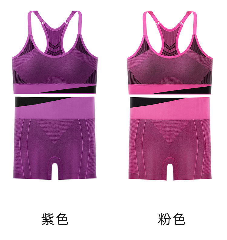 Nuevo bra elástico de alto impacto de color sexy reuniendo la espalda hermosa no correr taza antichoque chaleco deportivo de yoga conjunto de pantalones