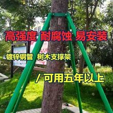 园林绿化树木支撑固定器大树绿化防风稳定杆承重镀锌钢管抱箍托架