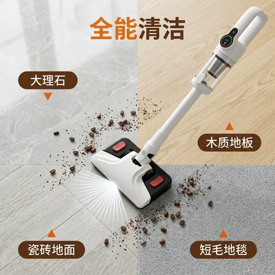 Cat Hair Removal Wireless Vacuum — Tozsoranlar