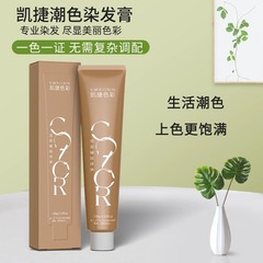 凱捷染膏色彩持久蓋白髮微潮色多段色一步到位髮廊專用