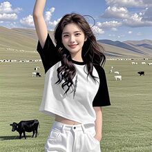 ļɫTŮވAIСӶ̿ײɫø