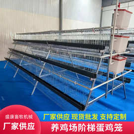 厂家销售养殖场阶梯式蛋鸡笼养殖养鸡设备蛋鸡笼热镀锌鸡蛋笼子