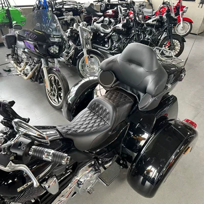 Motorcycle cushion compatible with Harley 09-25