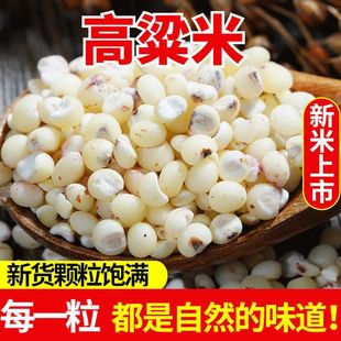 ������ ��؛�׸��������r�r���ԷNȥƤ�׸�����ᄾƸ����������]