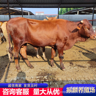 ���������Sţ���l���T����ţ��r����ľٝţ��ţ��