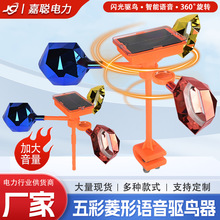 ������@�r���Z����B���s�B�������B�������L��������B��