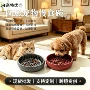猫狗定制狗狗宠物碗