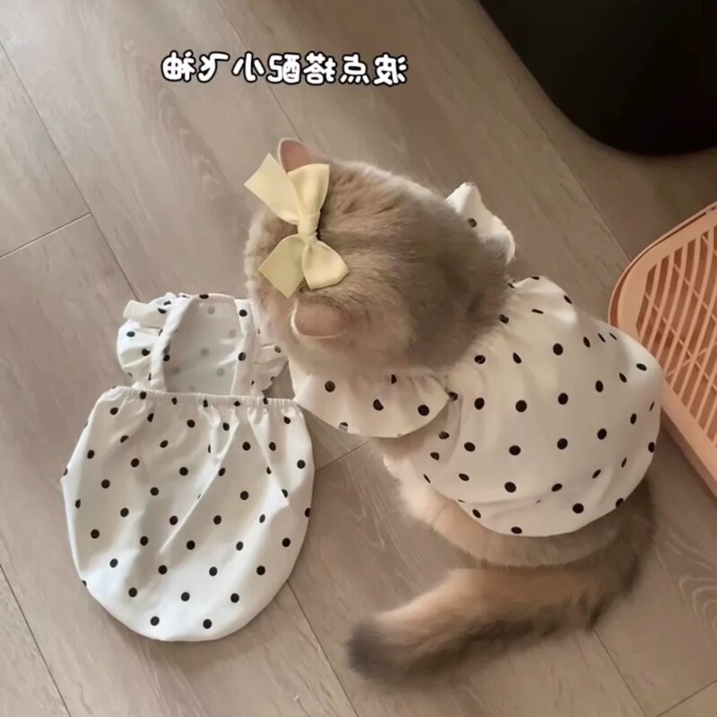 Pet Thin Breathable Sunscreen dress Chanel Style Summer Gold Gradual Muppet Cat German Kitten Cat Clothes Pet Thin Breathable Sunscreen dress Chanel Style Summer Gold Gradual Muppet Cat German Kitten Cat Clothes