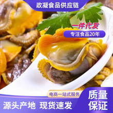 毛蛤肉赤贝肉新鲜蛤蜊肉冷冻海鲜毛蚶子蚬子血蚶肉商用冰冻嘎啦肉