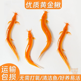 �S���q���������q���B�ͻ��S�����q��ˮ���w�^�p�~��Ϲ����~