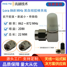 �ڰ׿�Lora 868MHz �̰��쾀ȫ���z��SMA���^