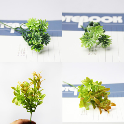 多肉背景植物 幸运草造景植物 小绿植 仿真植物 微景观塑料花假草|ru