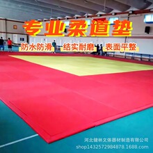 厂家批发柔道垫 摔跤垫 巴西柔术垫 体操垫 海绵垫 榻榻米柔道垫