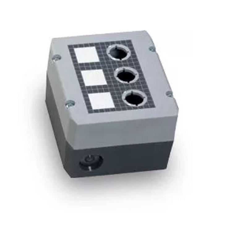 进口RAFI蘑菇头急停开关型号1.30.074.121