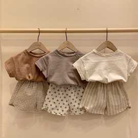 韩国童装色棉T恤新款小童面料柔软儿童0-1岁婴儿短袖打底衫