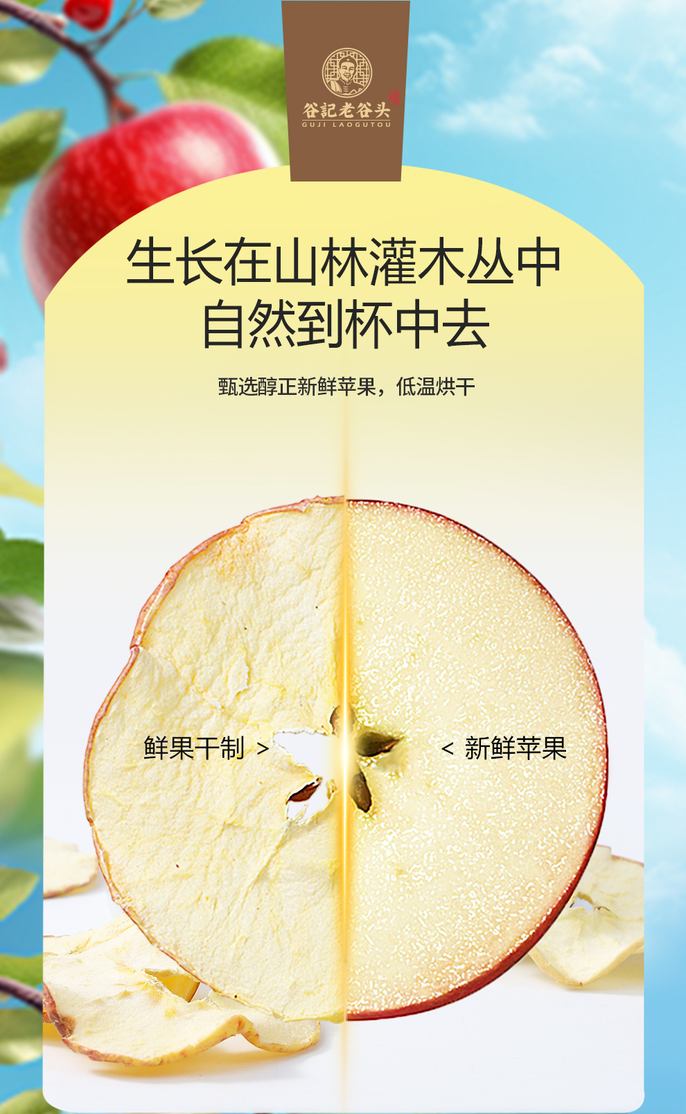 Dried Apple Slices Ready to Eat Cold Brew Fruit Tea Snack 120g overview
