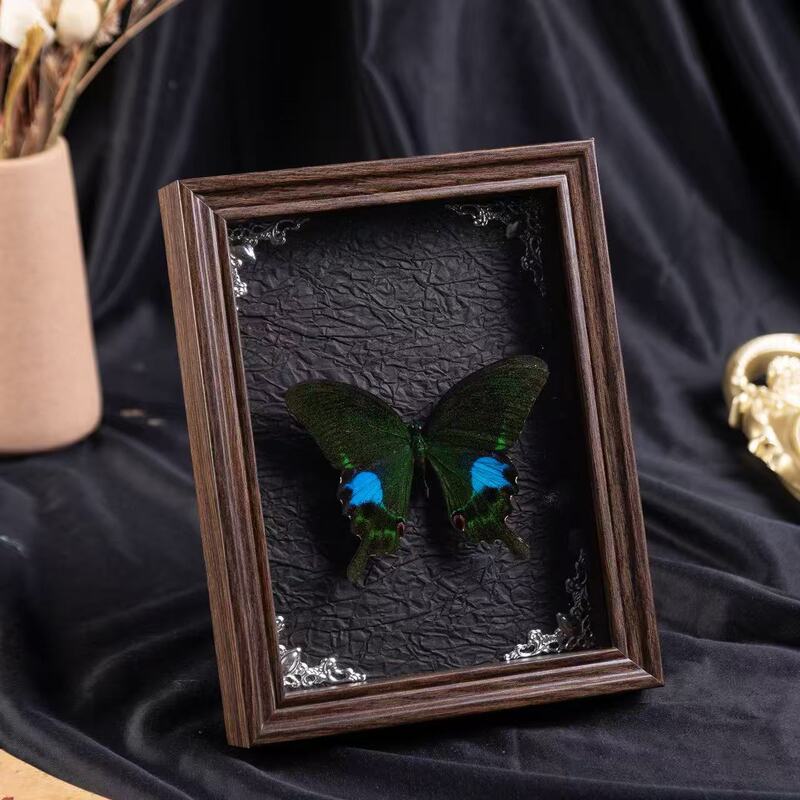 3D Hollow Dry Flower Preservation Frame DIY Plant Preserved Flower Display Frame Insect Specimen Wooden Frame