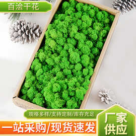 跨境仿真苔藓500g盒装植物墙装饰diy干花工艺品微景观装饰永生花