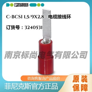 �����˹��|�Ӿ��hC-BCSI 1,5/9X2,8 -3240531��ƽ��|��ᘼtɫ