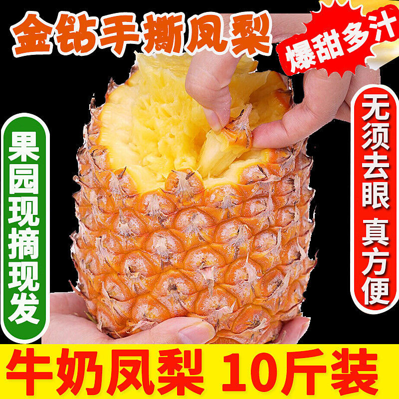 Pineapple wholesale 10 Diamond fresh fruit Shredded 158 Hainan pineapple Full container