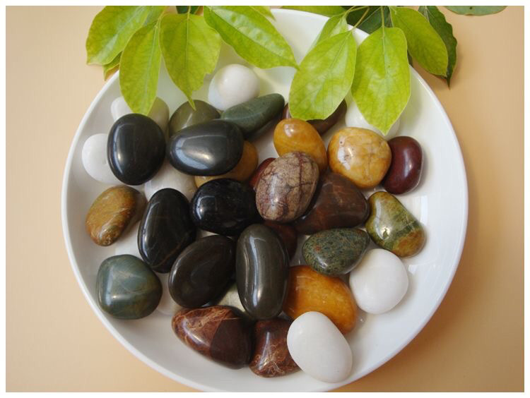 844c219a-4d7f-49a0-85c4-e4259e81a60c.jpe