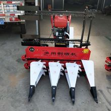 120���Ͳ������C ��ޣ���w�����C �����JȔ�ߗU�ո�C