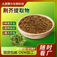 荆芥提取物10:1食品原料水溶性猫薄荷粉末工厂现货荆芥提取物
