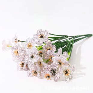 ���R�d�羳5�^���ݻ� ���_�m�zӡ�������滨 �����m����Ҿ��b�