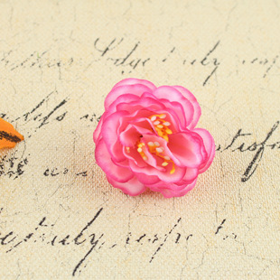 �S�����lɽ�軨�^ �ֹ�ĵ���� õ�廨�� diy���h�������շ��滨