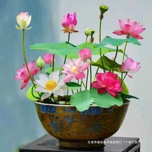 ˯ɏ�_ˮ���^�p�ɻ��̨��ˮ�ļ�˯ɏ�N����ɏ�N�ӻ���������