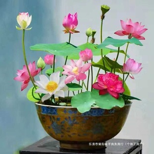 ˯ɏ�_ˮ���^�p�ɻ��̨��ˮ�ļ�˯ɏ�N����ɏ�N�ӻ���������