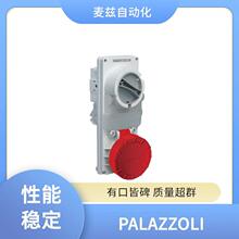 ���I���� 101095 PALAZZOLI ����� ��|�B���� PT5051046B