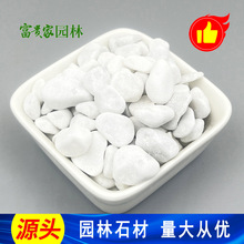 厂家批发工程铺路白色石头 佛山水磨石子白色鹅卵石富贵家园林