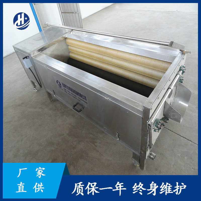 槟榔芋头毛辊清洗机  根茎类蔬菜清洗设备 不锈钢去皮机