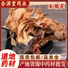 ľ�޻���ș�����l �t�� Ӣ�ۻ� ��֥�� ���� Ī�B ���� ľ�޻�