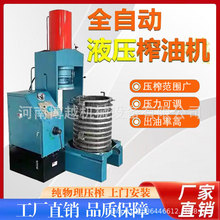 立式茶籽油液压榨油机 商用大型花生大豆核桃亚麻籽橄榄果榨油机