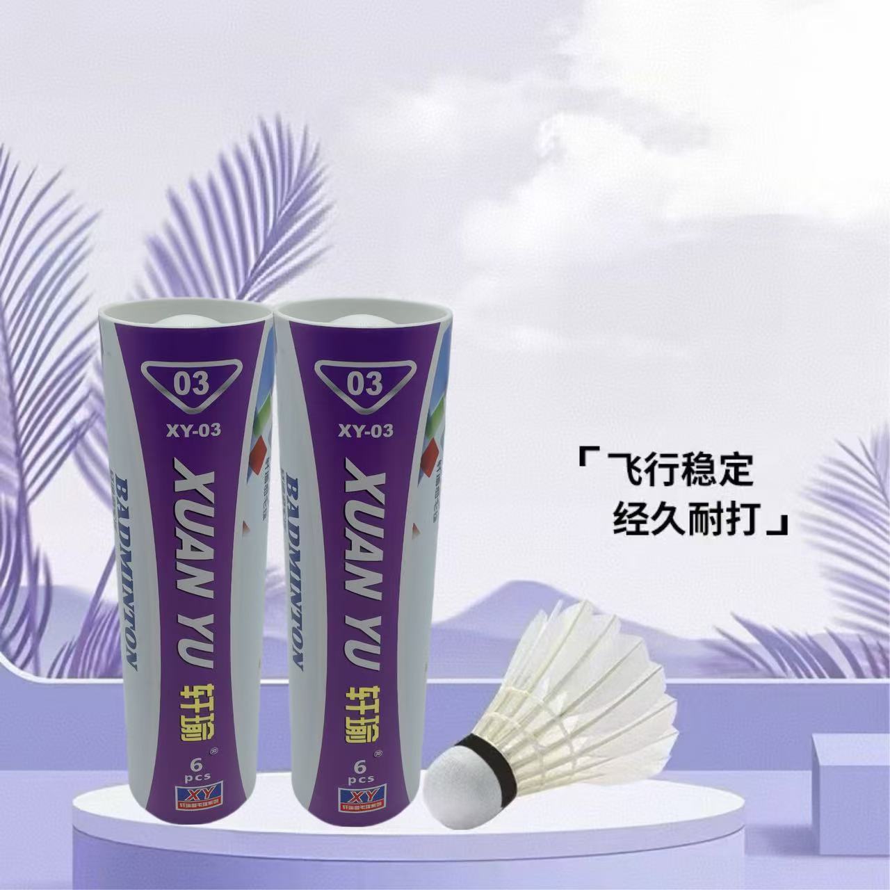 Xuanyu-[안정적인 비행] 대회 6팩