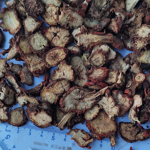 Dan Shen slices new stock bulk Shandong Dan Shen purple Dan Shen various specifications large Dan Shen TCM factory direct sale