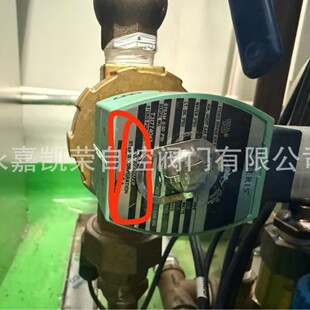 ASCO늴��yP093946029  HV294107-2-3-14-HT  L172V18 L172V09