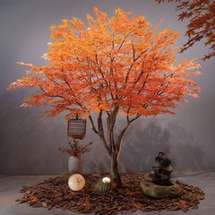 真紅楓樹楓葉樹大型デパートホテル火鍋店ホテル室内外着地シンプル装飾造景