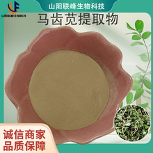 马齿苋提取物10:1 水溶性马齿苋水提粉 植物浓缩浸膏粉食品级原料