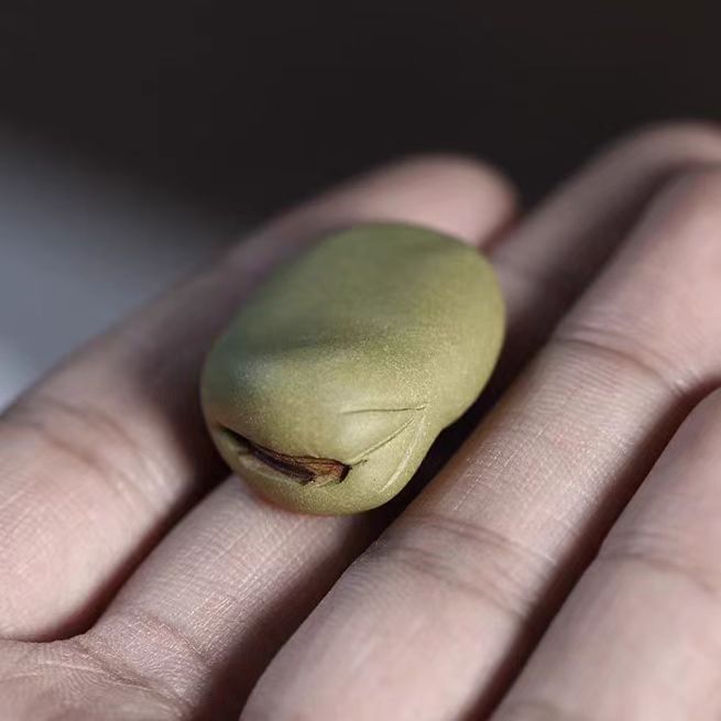 1081c3de79328e2918b5833da6b554