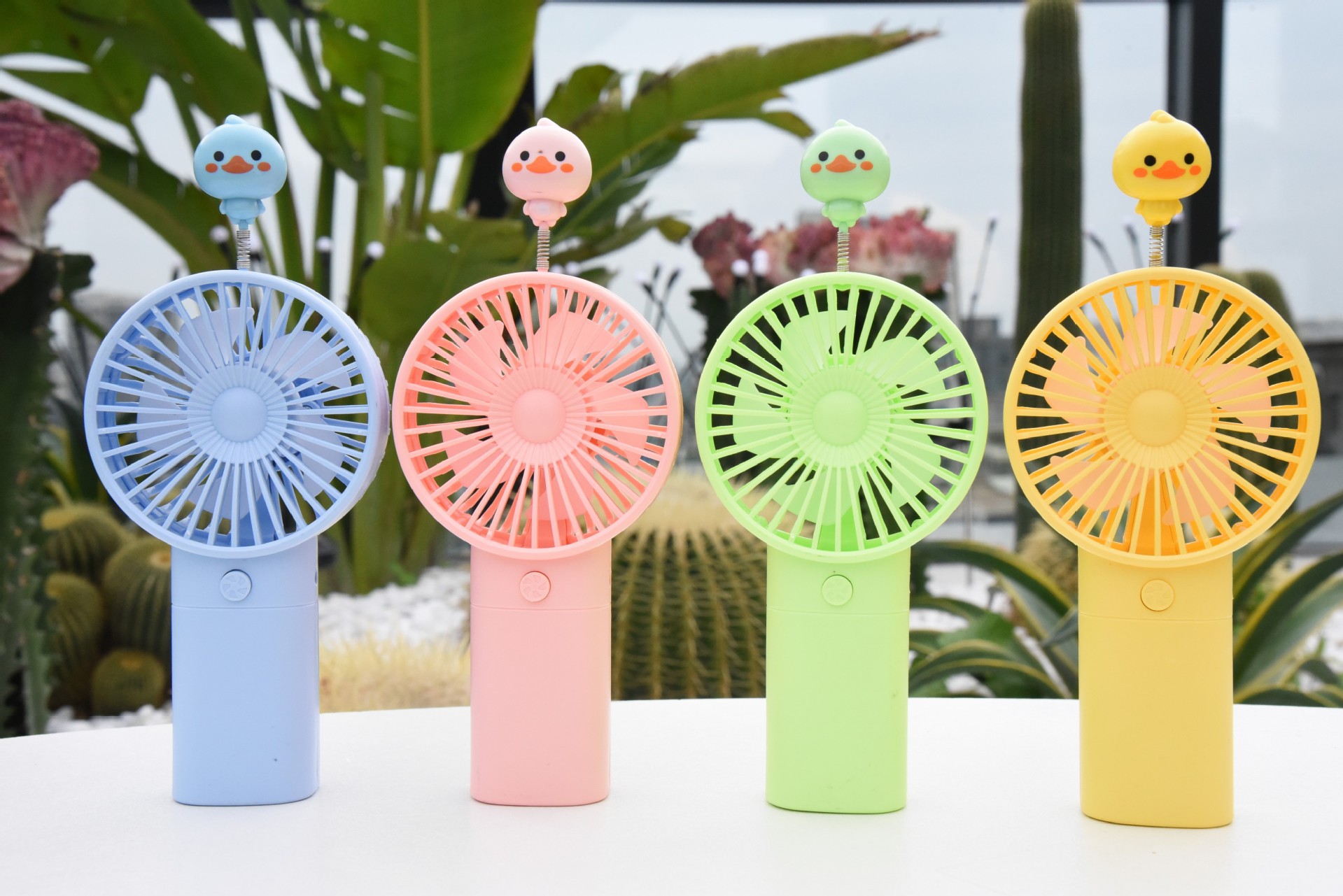 conew_conew_dsc_2879