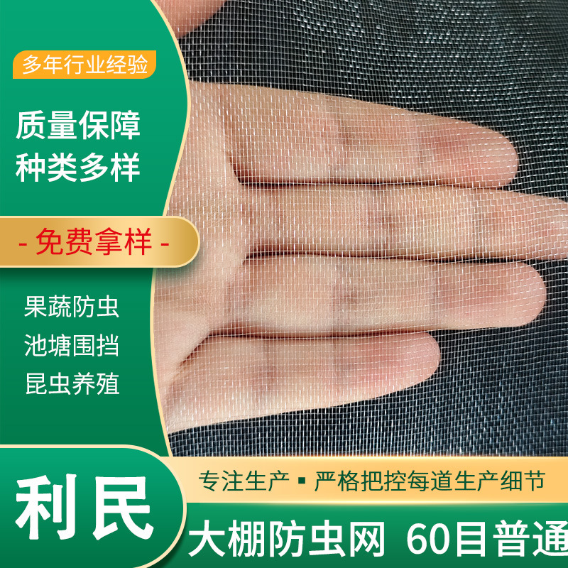 厂家直供60目普通 家禽网果园防鸟网农田网 加密聚已烯网鱼塘围网