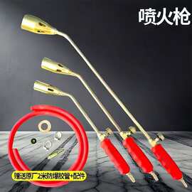 家用液化气喷火枪家用烧猪毛喷枪煤气天然气喷灯防水高温喷枪烧毛