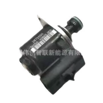 Valve 4307411, Yanacaq injektoru (Forsunka)