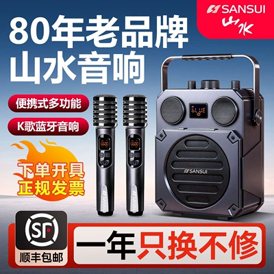Outdoor Square Dance Speaker Bluetooth: Car speaker/subwoofer