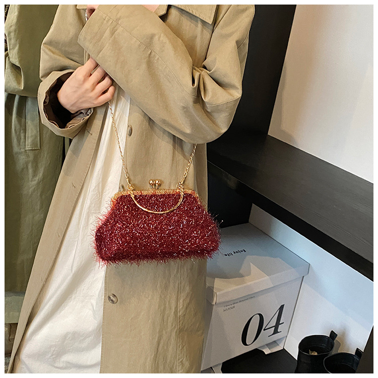 A trendy and fashionable women's 2024 autumn new chain crossbody bag, a Korean-style hand-held shell bag undefined
